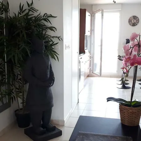 L'orchidee